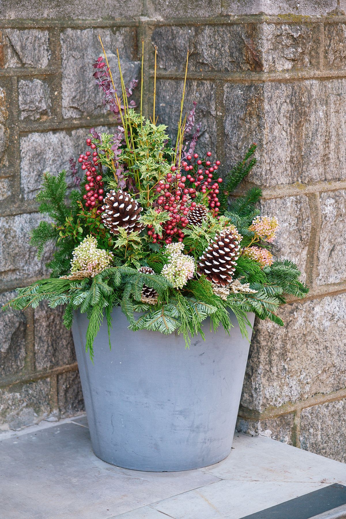 Enliven Planters winter container arrangement